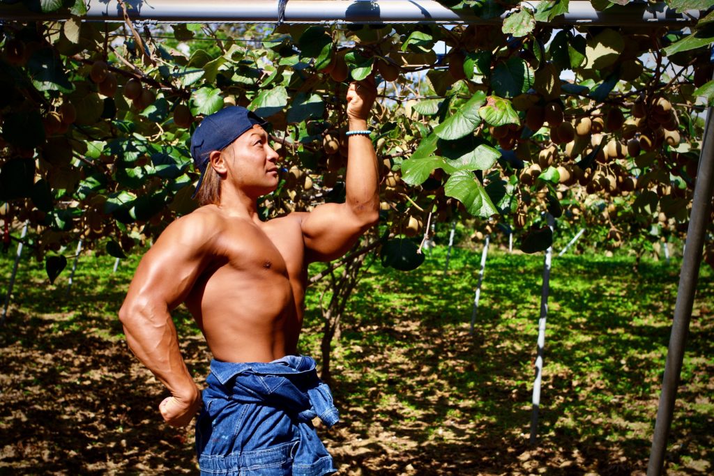 キウイを収穫するマッチョ2@著作権フリー画像　農家