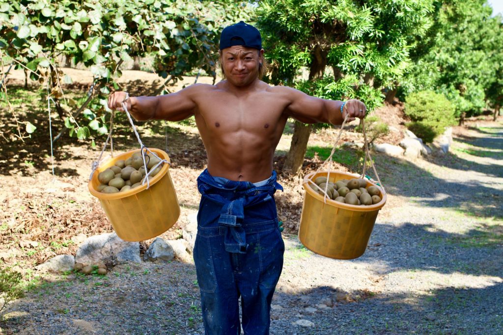 【キウイで筋トレ】サイドレイズ(三角筋のトレーニング）/reference stock photo farmer macho@ボディビルダー フリー素材