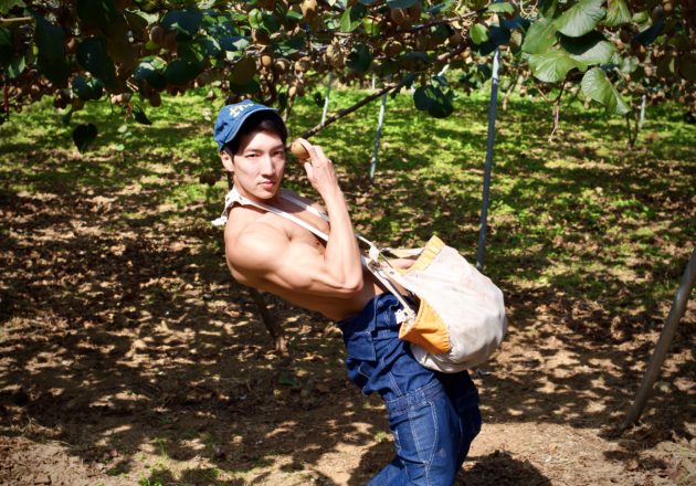 キウイとマッチョ/reference stock photo farmer macho/jojo pose@ボディビルダー フリー素材