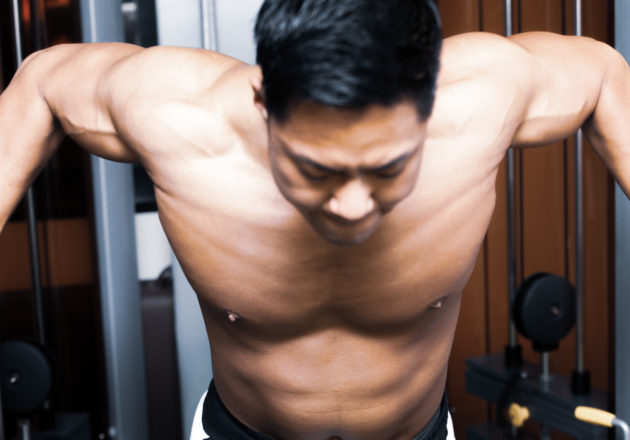 ケーブルフライをする大胸筋(伸長時)/reference stock photo muscle chest@アスリートモデル　マッチョ