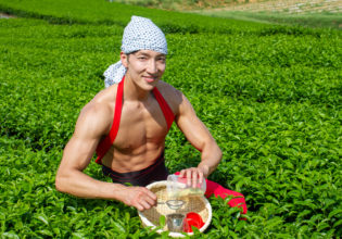 茶畑で抹茶プロテインを点てるマッチョ@フリー素材　筋肉