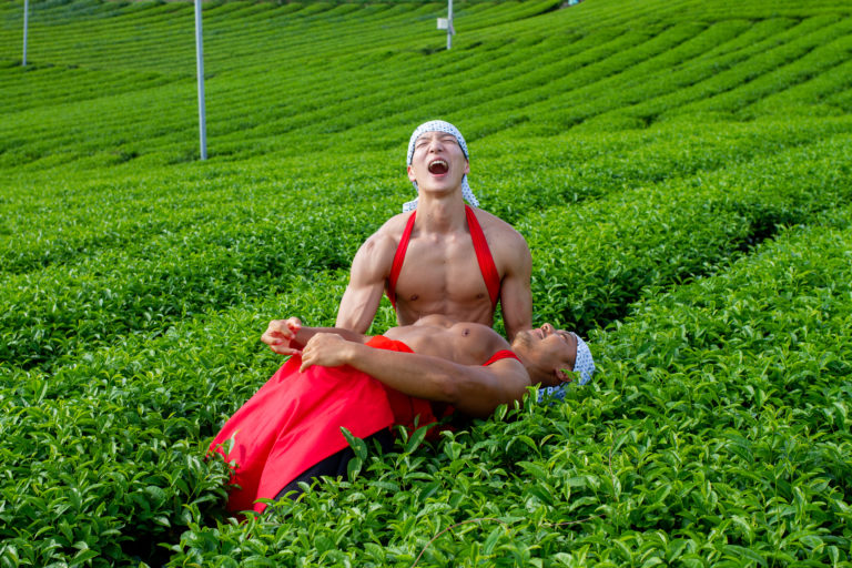 茶畑の中心で筋肉が叫ぶ「誰か、プロテインを！！」（元投稿の写真）