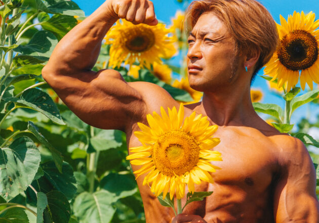 sunfower and muscle@ reference stock photos
