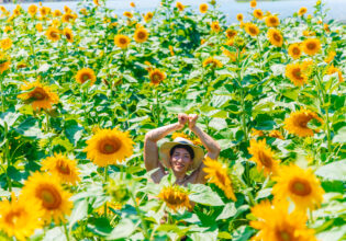 ひまわり畑で戯れるマッチョ@stock photo mucle and sunflowers