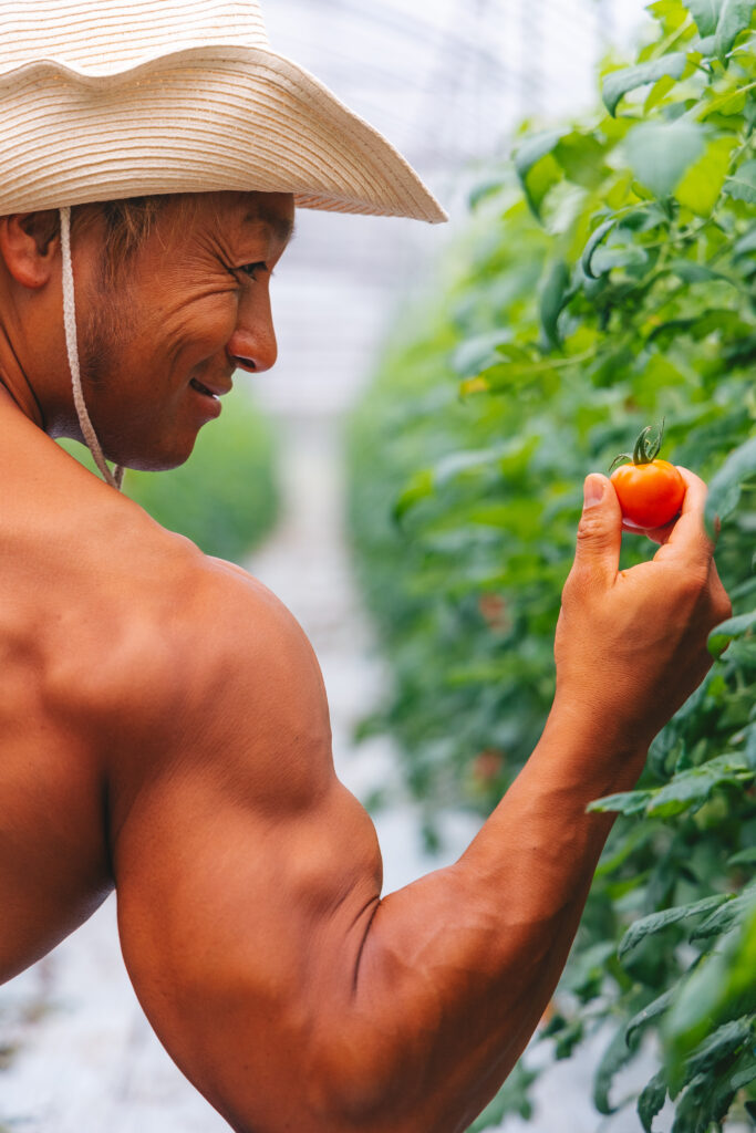 トマトを収穫するマッチョ@フリー素材　ボディビルダー