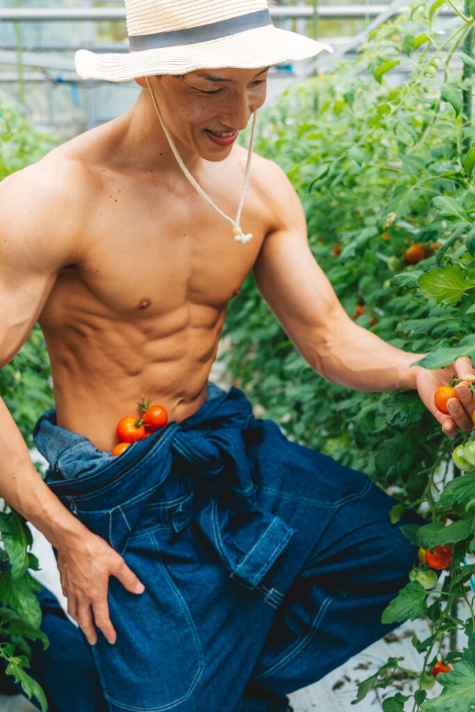 トマトを収穫するマッチョ@ストックフォト　農家