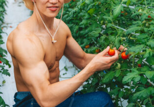 トマトを収穫するマッチョ@フリー素材　モデル　筋肉