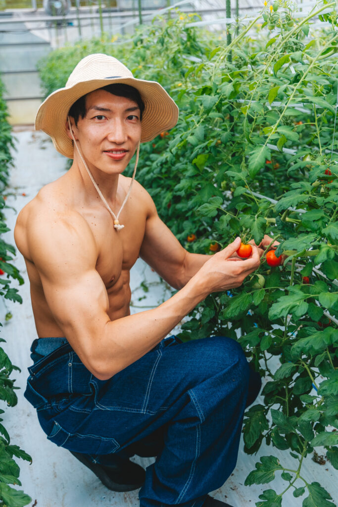 トマトを収穫するマッチョ@フリー素材　モデル　筋肉