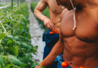 トマトを収穫するマッチョ@マッチョ　画像