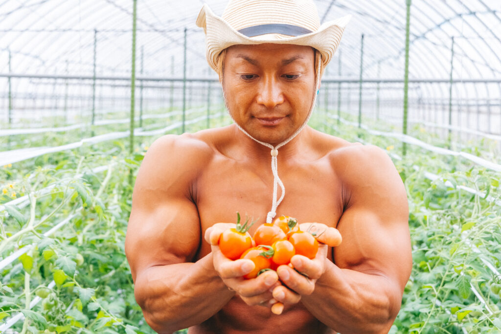 トマト生産者さんのマッチョ@ストックフォト　農業