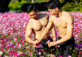 コスモス畑で仲良く花を摘むマッチョ@フリー素材　筋肉