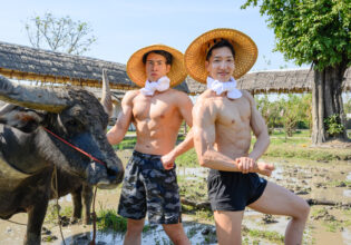 水牛とマッチョ in タイ　/ นักกล้ามญี่ปุ่น และ กระบือ@ストックフォト　筋肉