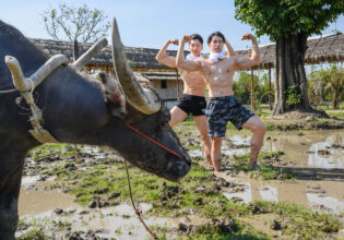 水牛とマッチョ in タイ　/ นักกล้ามญี่ปุ่น และ กระบือ＠フリー素材　筋肉