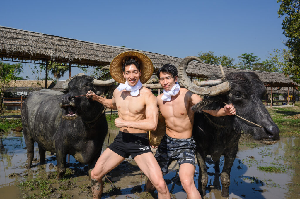 水牛とマッチョ in タイ@マッチョフリー素材　タイ　水牛
