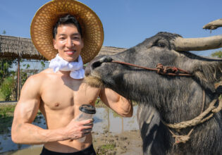 牛飼いのマッチョ　นักกล้ามญี่ปุ่น และ กระบือ@ストックフォト　タイ
