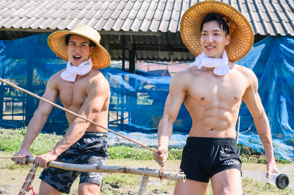 農家のマッチョ in タイ@farmaer muscle stock photos ปลูกข้าว　นักเพาะกาย　จังหวัดสุพรรณบุรี　ชาวนา/ストックフォト　農家　水牛