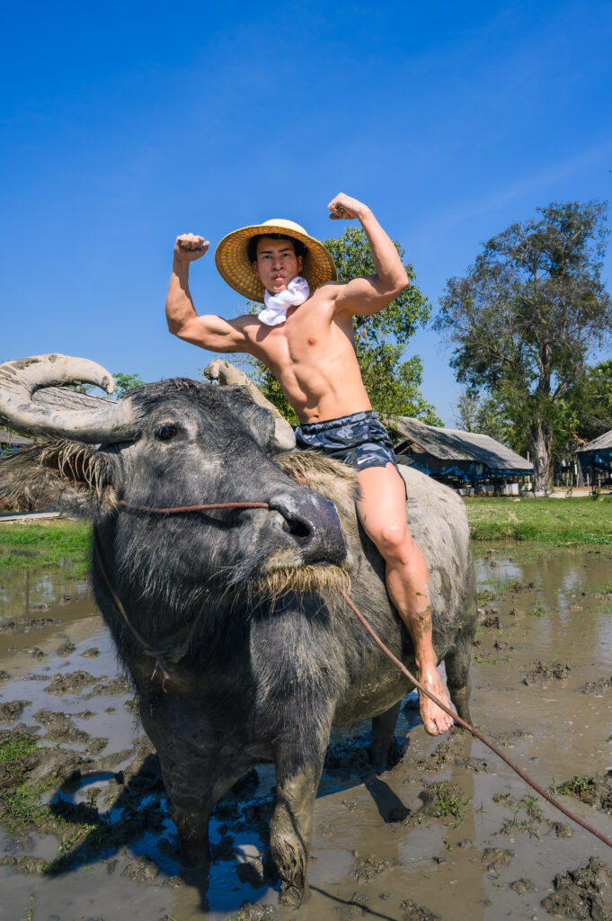 水牛に乗るマッチョ(นายแบบ　ควาย）＠フリー素材　モデル タイ