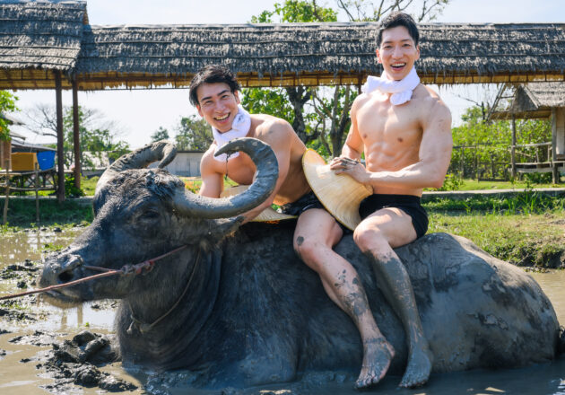 水牛とマッチョ นายแบบ　ควาย buffalo and machos @フリー素材　海外