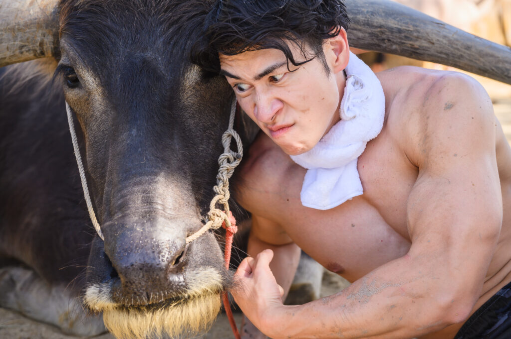 水牛と戯れるマッチョモデル@農業　男性モデル