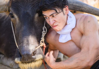 水牛と戯れるマッチョモデル@農業　男性モデル