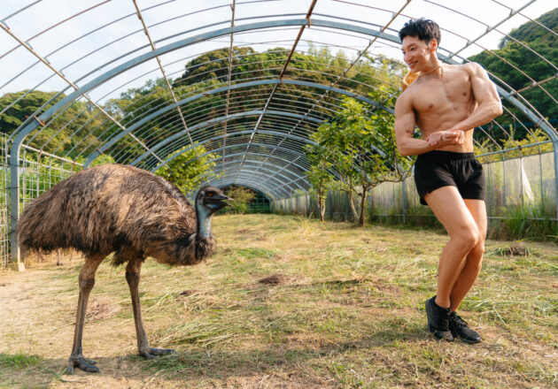 エミューにサイドチェストするマッチョ@animals and muscular man