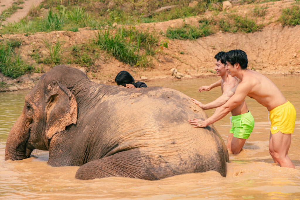 象と水遊びするマッチョ in チェンマイ タイ@動物とマッチョ