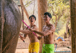 象を洗うマッチョ in チェンマイ タイ＠チェンマイ　エレファントケアキャンプ