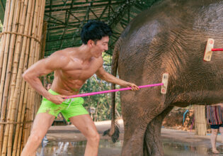 象の大腿四頭筋を洗うマッチョ@象　写真　無料