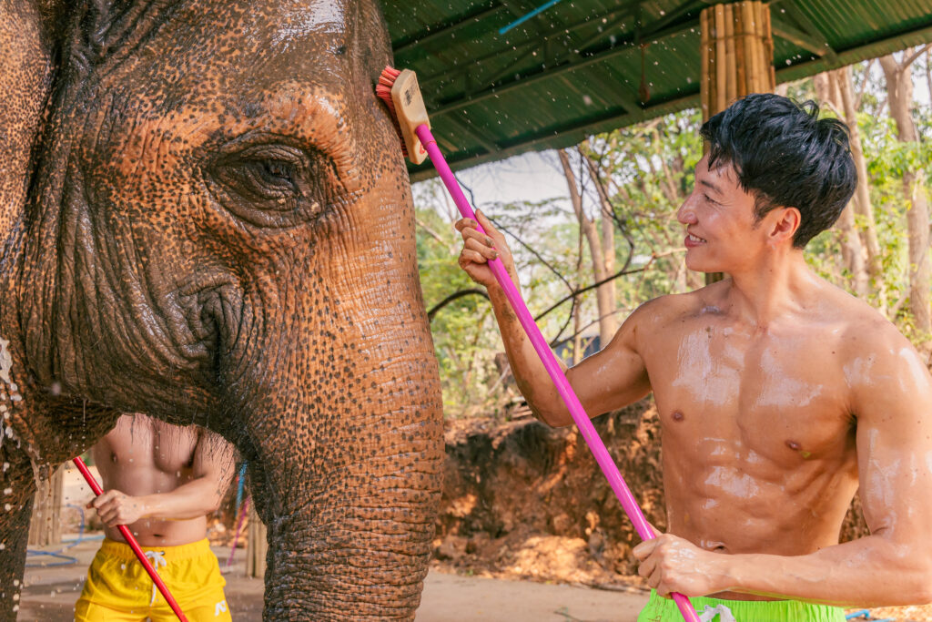 象の鼻を洗うマッチョ@象　体験　タイ