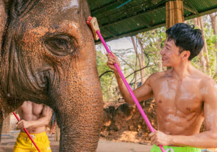 象の鼻を洗うマッチョ@象　体験　タイ