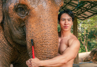 象の鼻とマッチョ@animals and muscularmen
