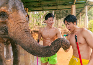 象さんの鼻と戯れるマッチョ＠elephant care camp in Thailand