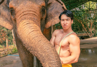 象の鼻とマッチョ@animals and muscularmen