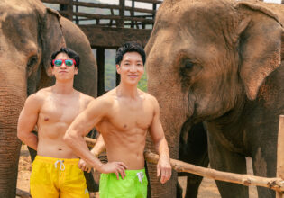 elephants and muscularmen@stock photos fore pose reference