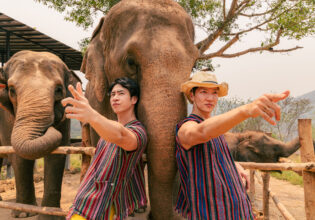 Elephants and muscularmen in chiangmai Thailamd@muscular body stock photos men