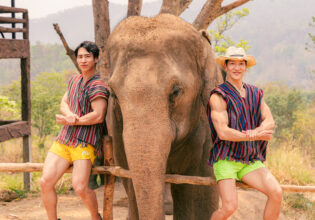 elephants and muscularmen@stock photos fore pose reference