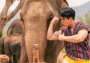 象と筋量を比較するマッチョ@インバウンド観光客　タイ