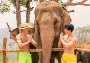 象に感謝するマッチョ＠@インバウンド観光客　タイ