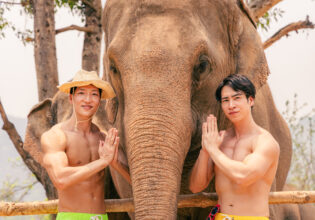 象とマッチョ in chiangmai Thailamd