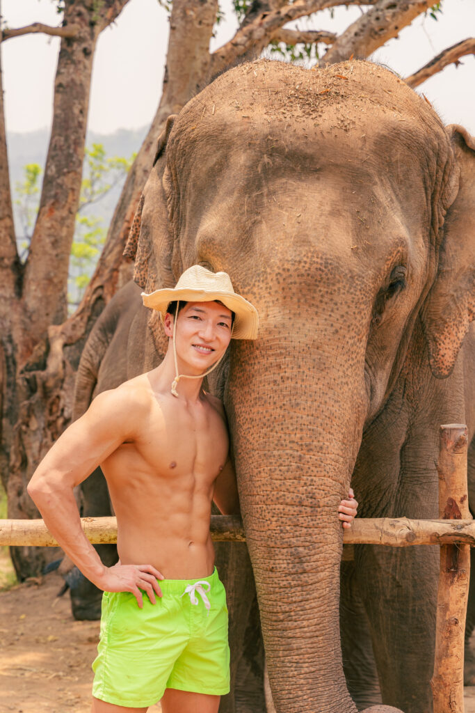 Elephants and muscularmen in chiangmai Thailamd@muscular body stock photos men
