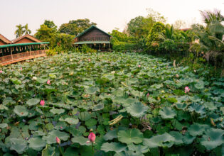 タイのお庭＠フリー素材　庭園 蓮の花