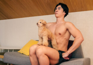 パートナー　犬