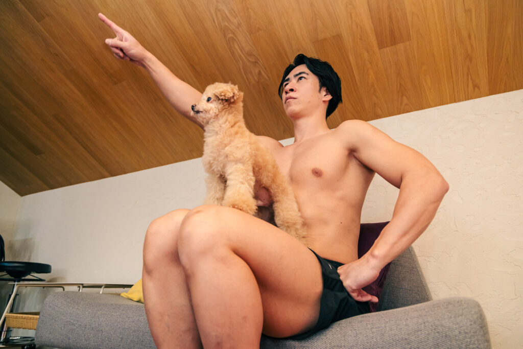 パートナー　犬