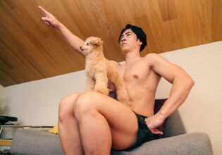 パートナー　犬