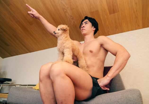 パートナー　犬