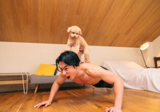 犬に筋トレで追い込まれるマッチョ@フリー素材　犬