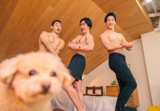 犬　マッチョ　フリー素材