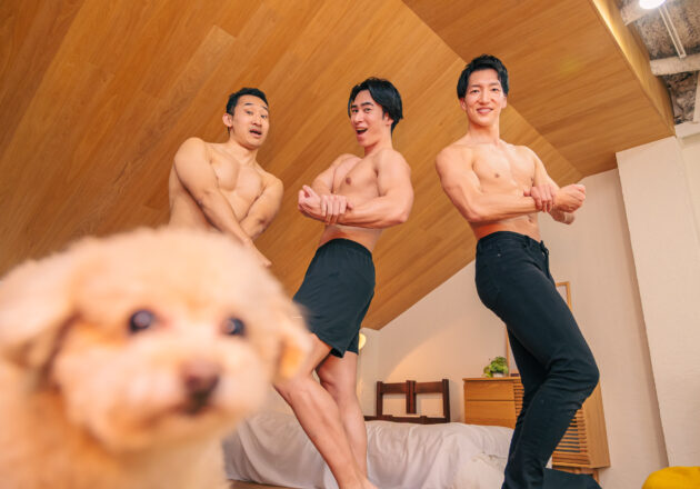 犬　マッチョ　フリー素材