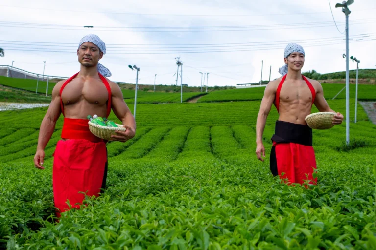 茶摘み娘ならぬ、茶摘みマッチョ（元投稿の写真）