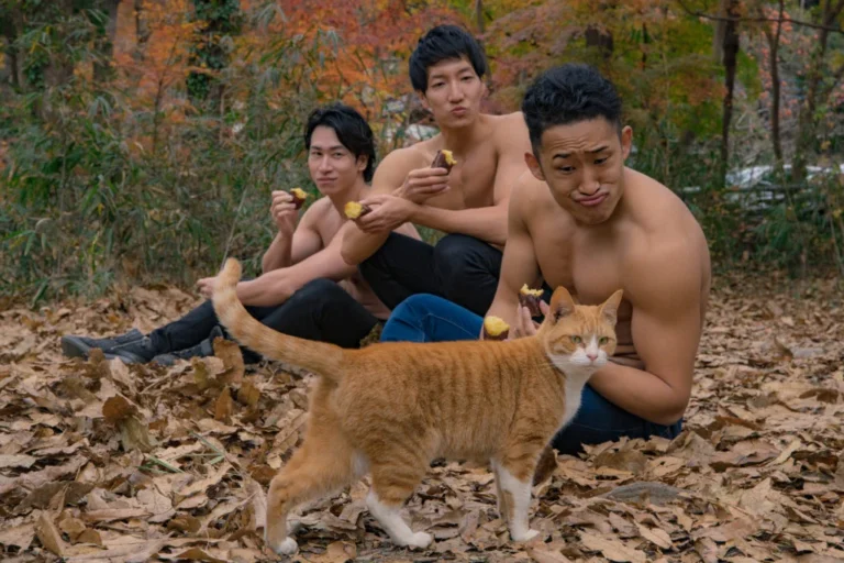 撮影中に、猫ちゃんが登場（元投稿の写真）